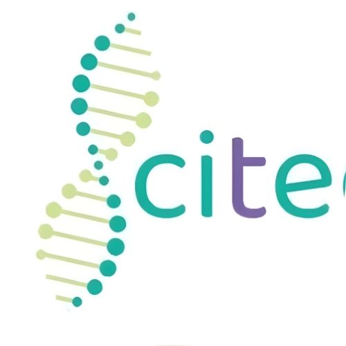 untitled design (16)